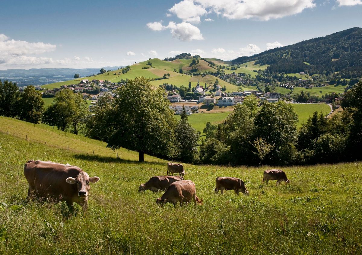 Landschaftsfoto von Schwarzenberg.